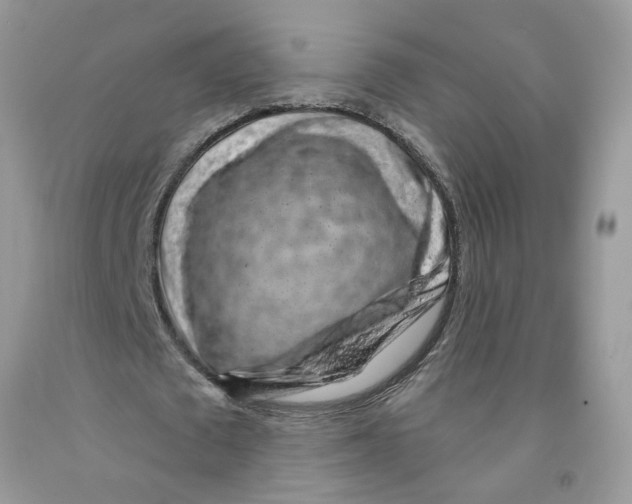 X0000091530673200709141436