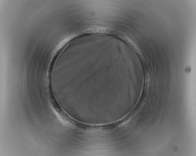 X0000091530674200709141436