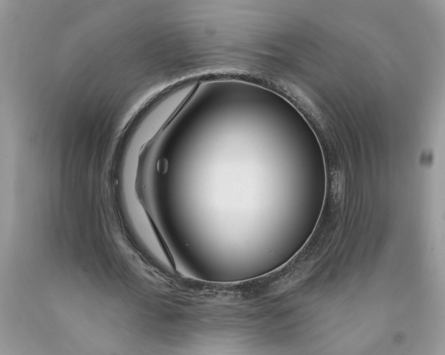 X0000091530676200709141436