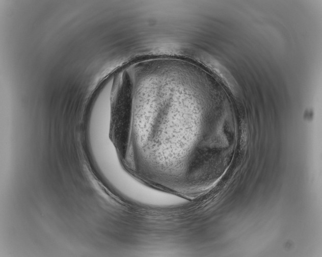 X0000091530677200709141436