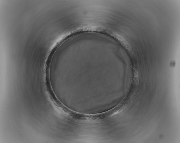 X0000091530678200709141436
