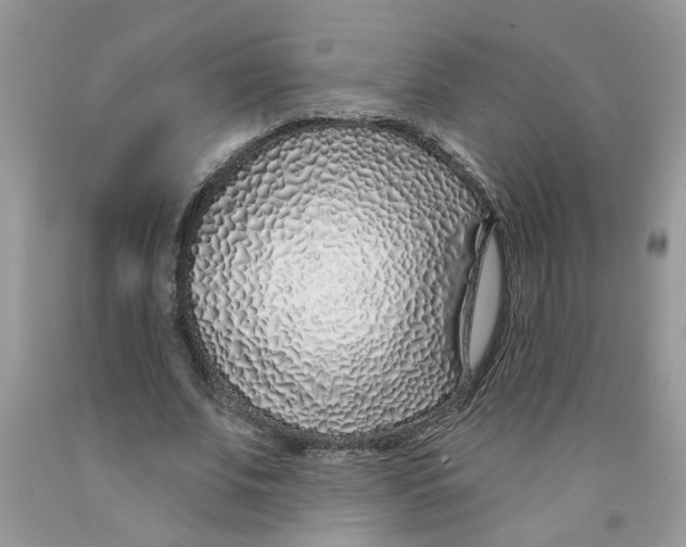 X0000091530679200709141436