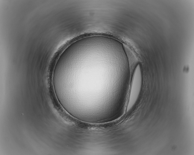 X0000091530680200709141436