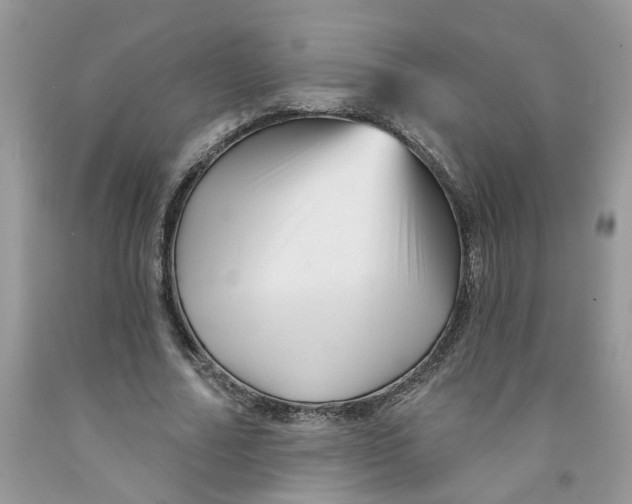 X0000091530682200709141436