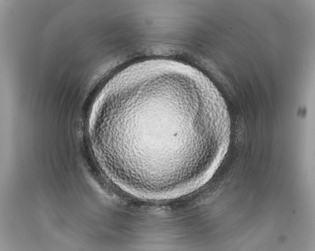 X0000091530683200709141436