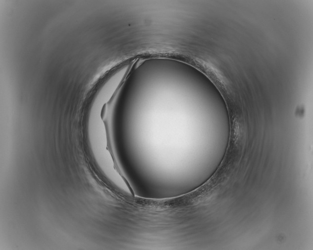X0000091530684200709141435