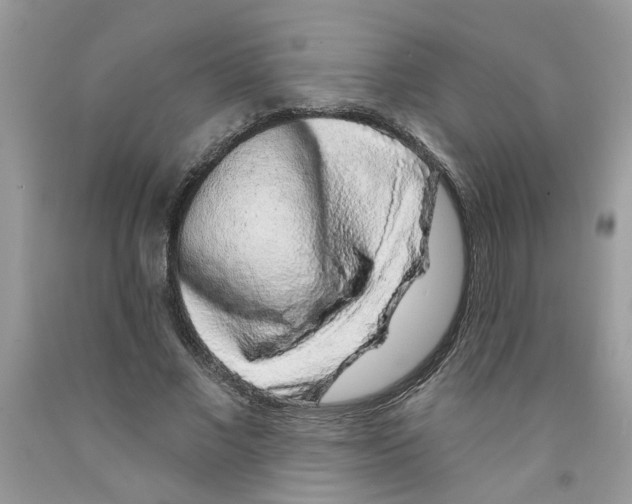 X0000091530685200709141435