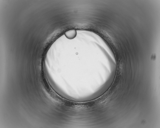 X0000091530686200709141435