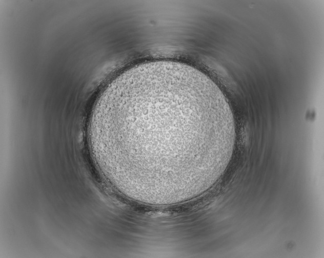 X0000091530687200709141435