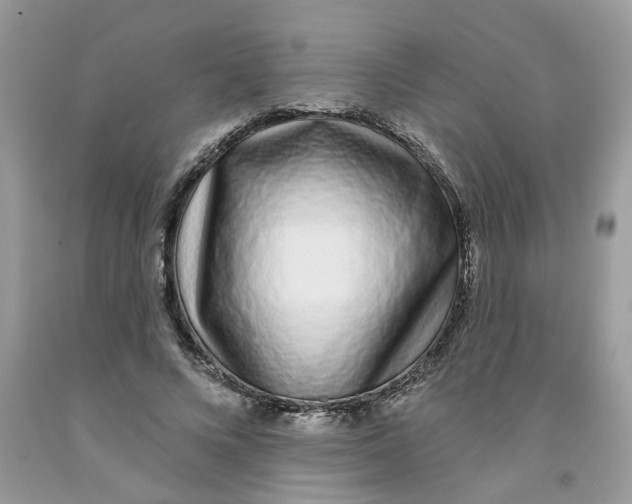 X0000091530688200709141435