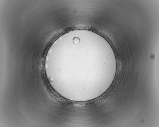 X0000091530690200709141435