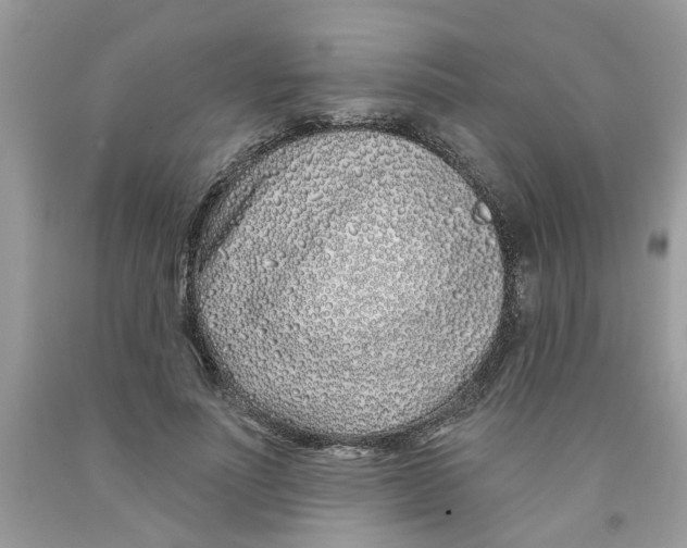 X0000091530691200709141435