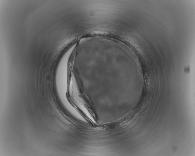 X0000091530692200709141435