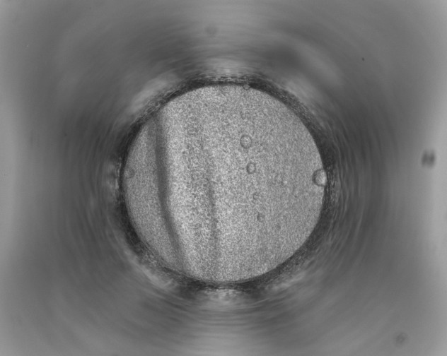 X0000091530695200709141435