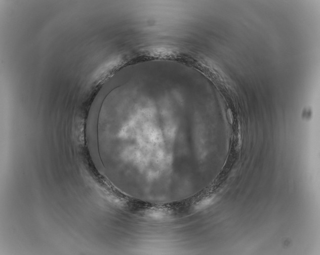 X0000091530696200709141435