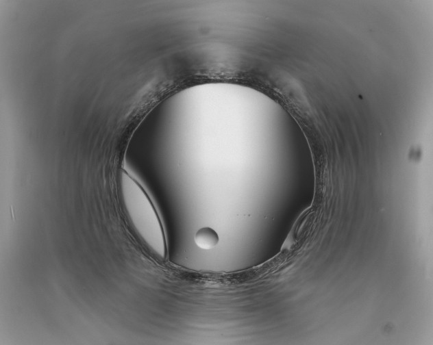 X0000091530697200709141435