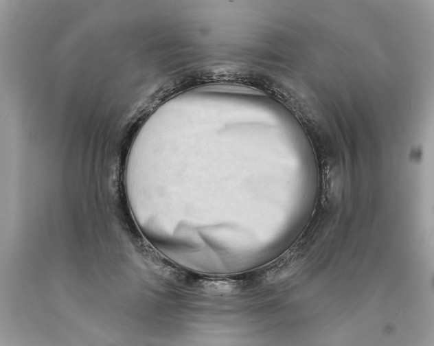 X0000091530698200709141435