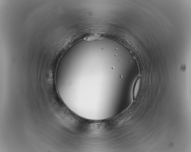 X0000091530700200709141435
