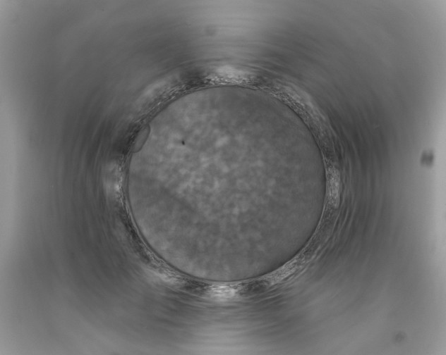 X0000091530701200709141435