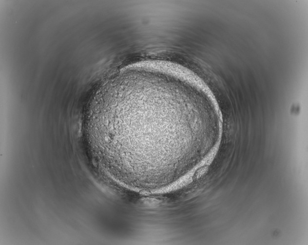 X0000091530703200709141435