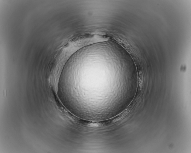 X0000091530704200709141435
