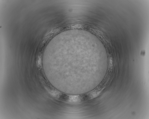 X0000091530705200709141435