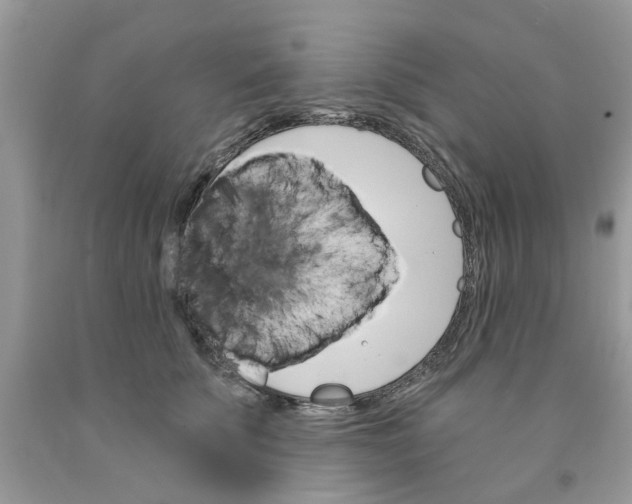 X0000091530707200709141435