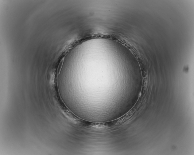 X0000091530708200709141435