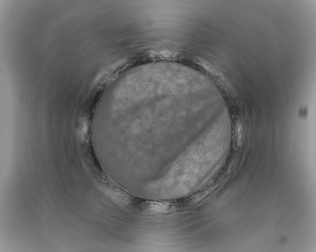 X0000091530709200709141435