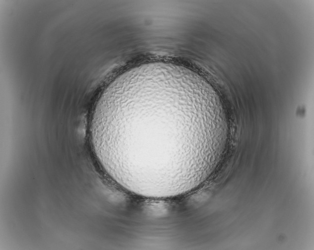 X0000091530710200709141435