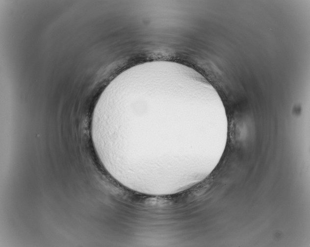 X0000091530714200709141435