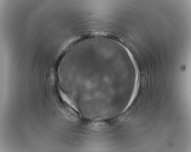 X0000091530716200709141435