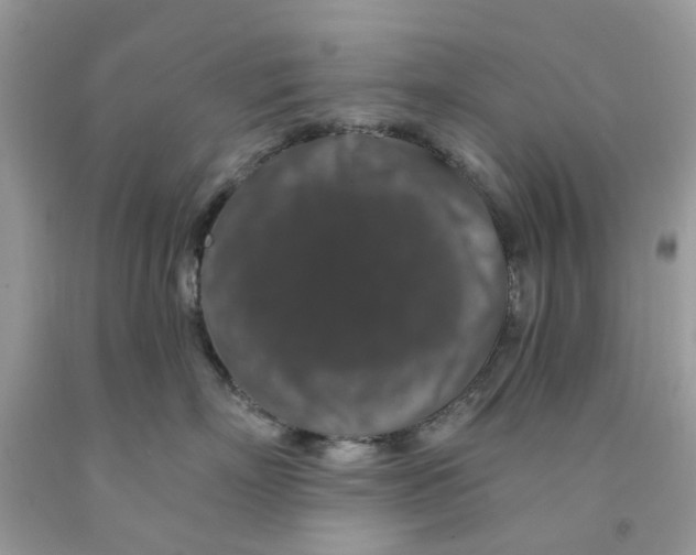 X0000091530718200709141435