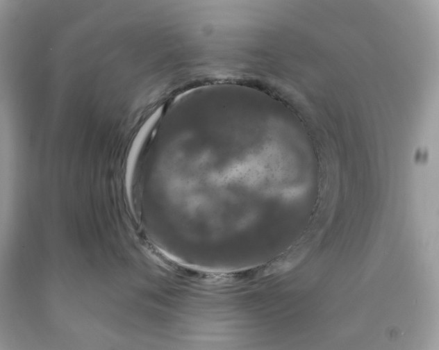 X0000091530720200709141435