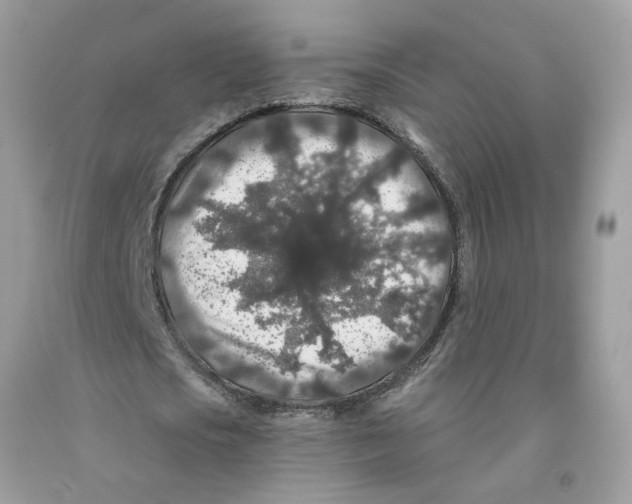 X0000091530721200709141434