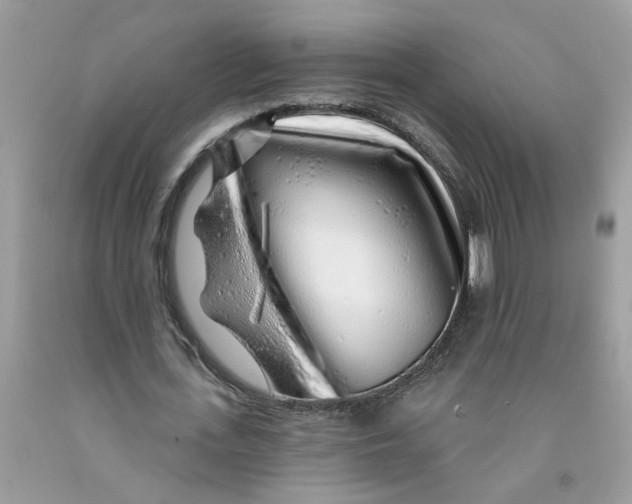 X0000091530723200709141434