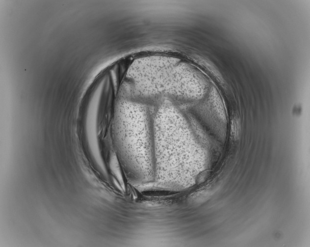 X0000091530724200709141434