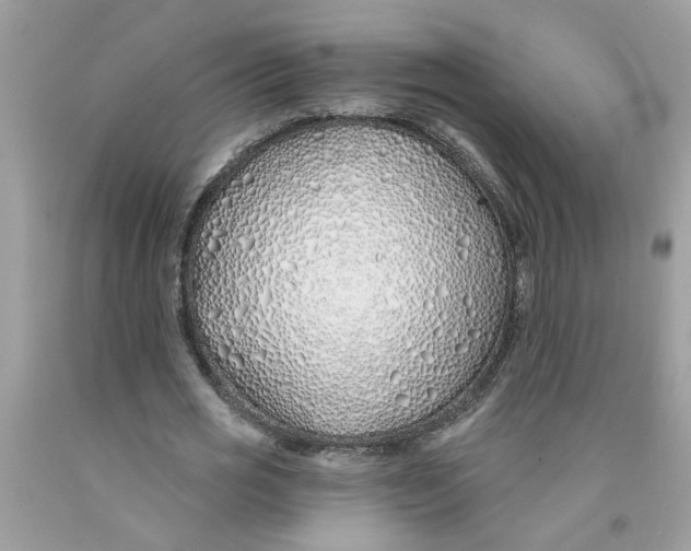 X0000091530725200709141434