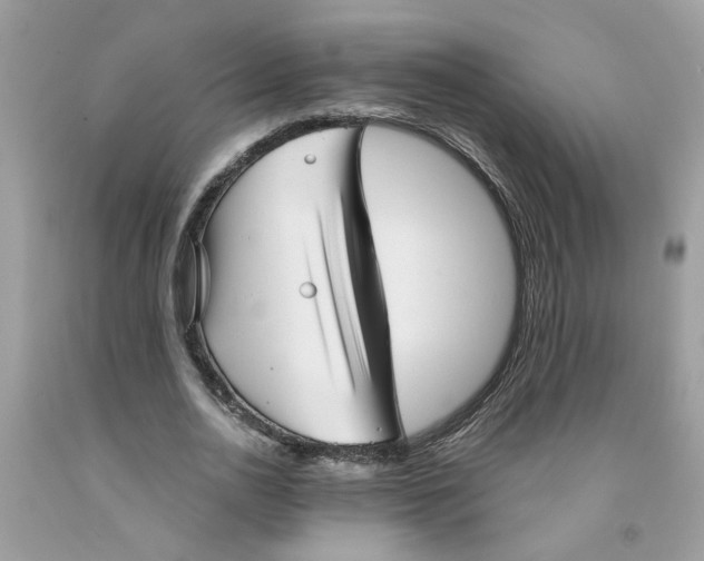 X0000091530726200709141435
