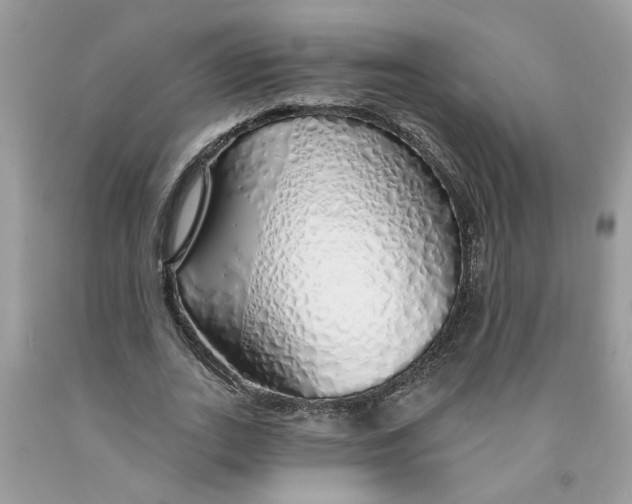 X0000091530727200709141435