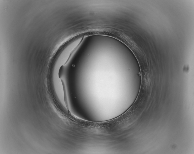 X0000091530728200709141435