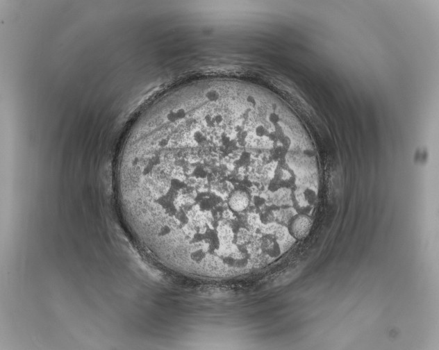X0000091530729200709141435