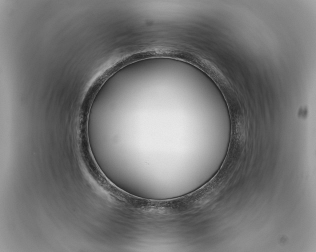 X0000091530730200709141435