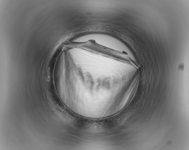 X0000091530731200709141435