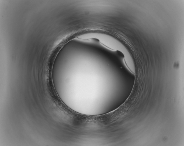 X0000091530732200709141435
