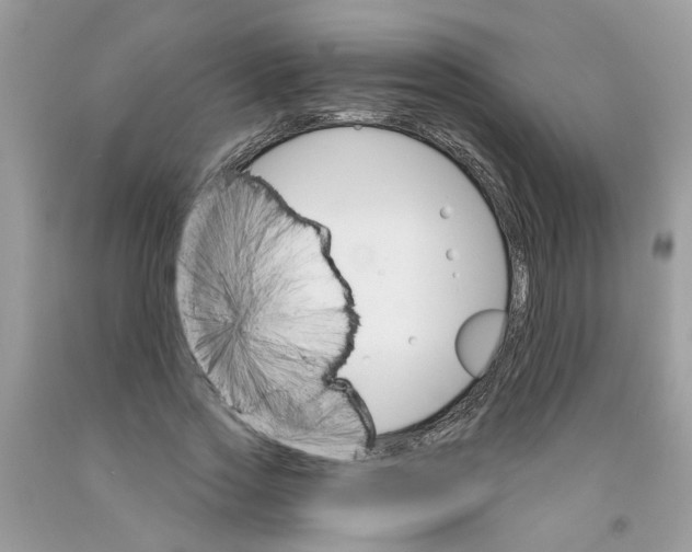 X0000091530733200709141435