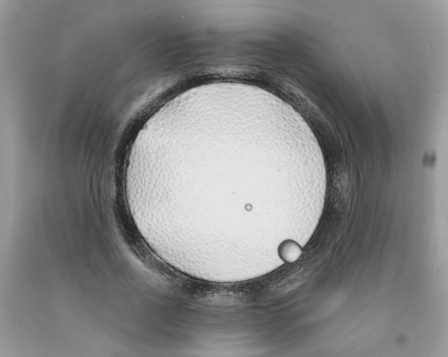 X0000091530734200709141435