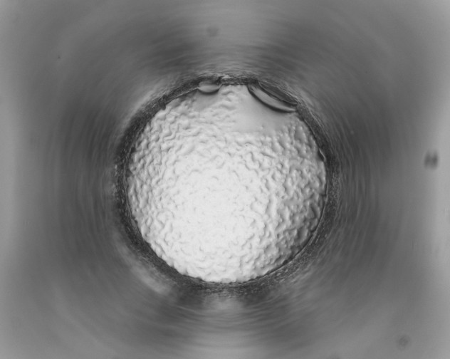 X0000091530735200709141435