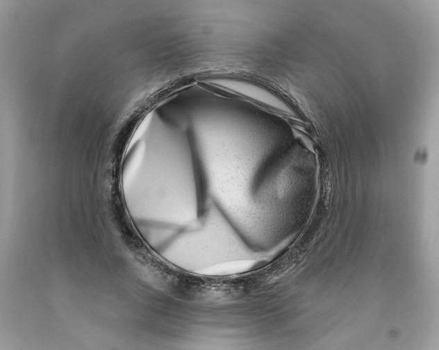 X0000091530736200709141435