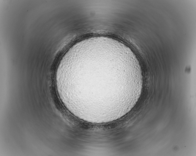 X0000091530738200709141435